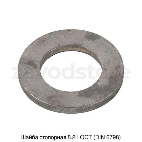 Шайба стопорная 8.21 ОСТ (DIN 6798)